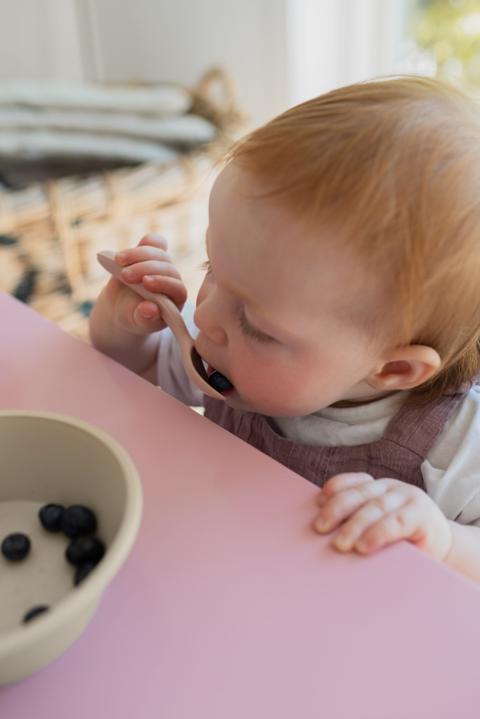 BIBS SET ŽLICA SAGE