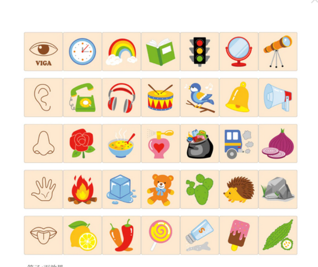 VIGA DRVENI SET UČIMO ČULA