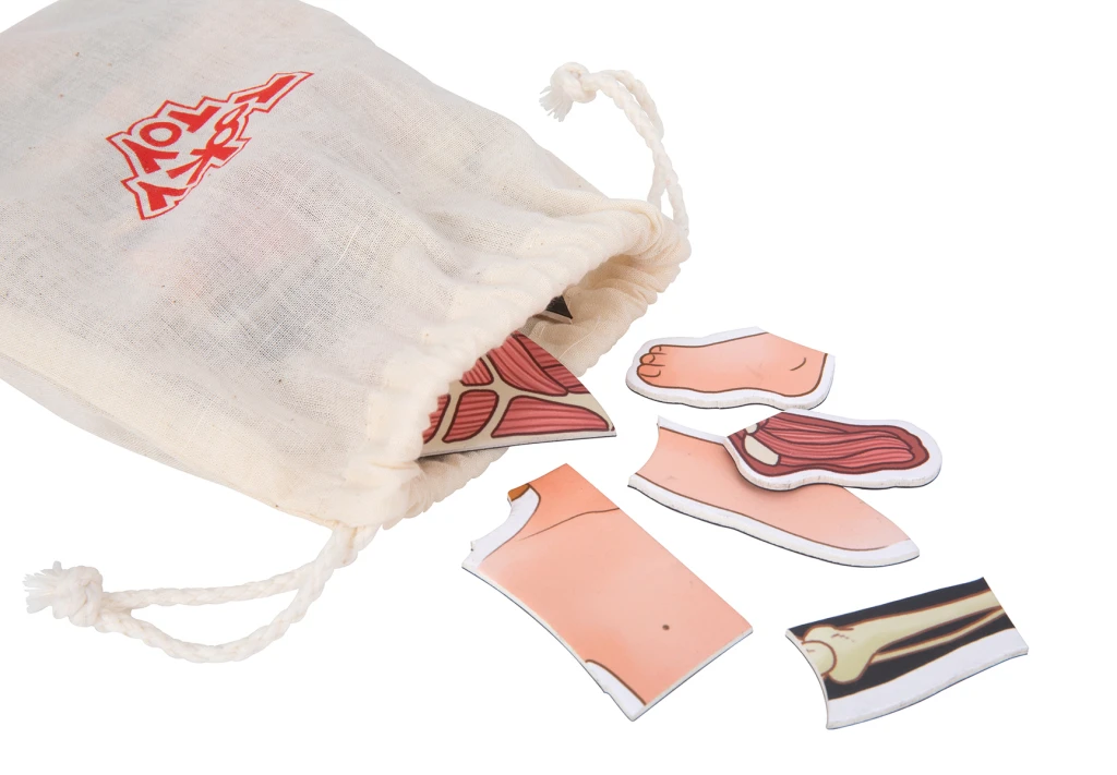 TOOKY TOY ANATOMIJA TIJELA MOD.