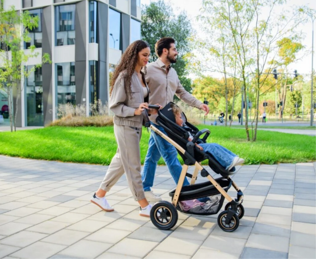 LIONELO AMBER KOLICA 3U1 CRNA