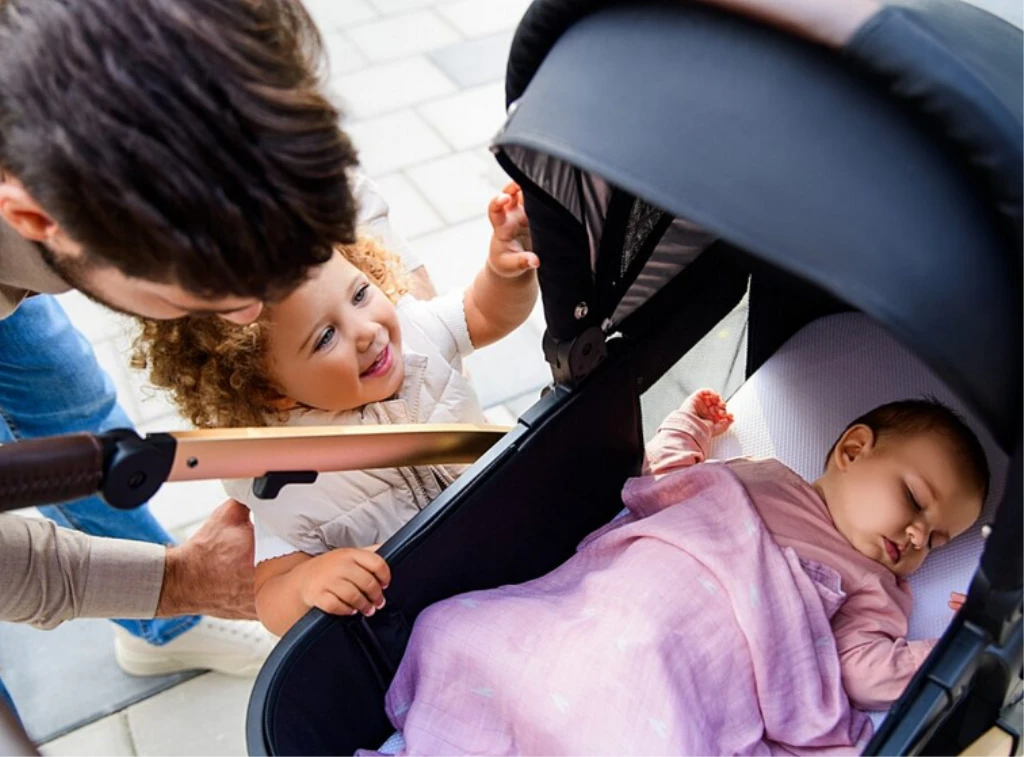 LIONELO AMBER KOLICA 3U1 CRNA