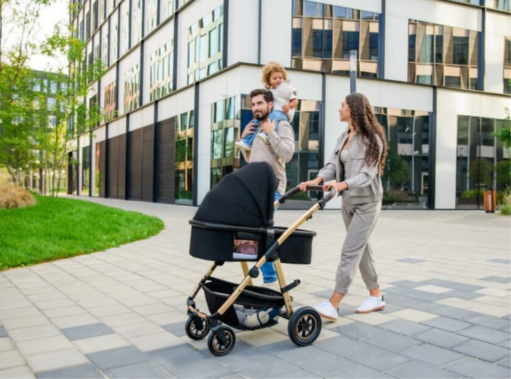 LIONELO AMBER KOLICA 3U1 CRNA