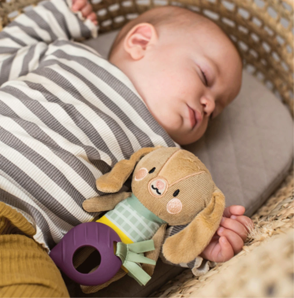 TAF TOYS ZEKO SA GLODALICOM FOR.