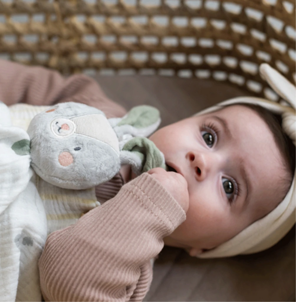 TT ZEKO TJEŠILICA FOR.