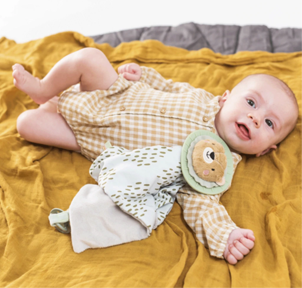 TAF TOYS LAV TJEŠILICA FOR.