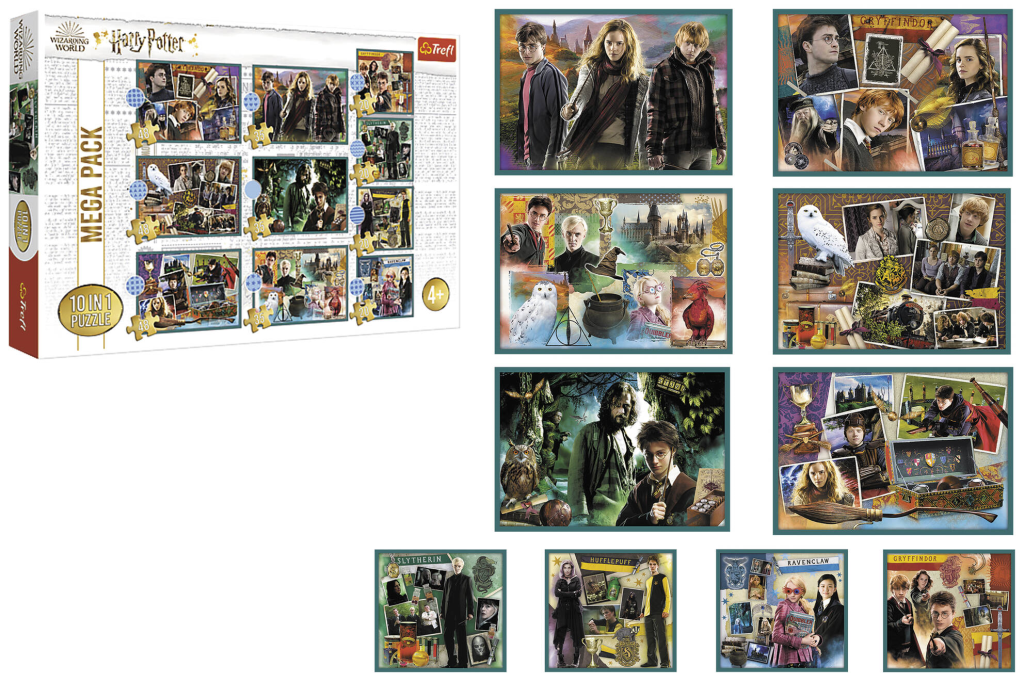 GLOBO PUZLE HARRY POTTER 10U1