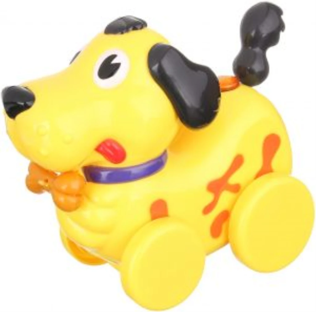 NAVY STAR PSIĆ POVUCI I GURAJ