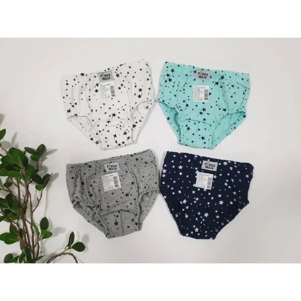 PČELICA MAJA VEŠ SLIP MUŠKI 2,4,6