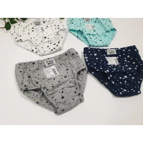 PČELICA MAJA VEŠ SLIP MUŠKI 2,4,6