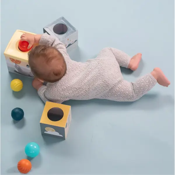 TAF TOYS EDUKATIVNE KOCKE I LOPTICE FOR.