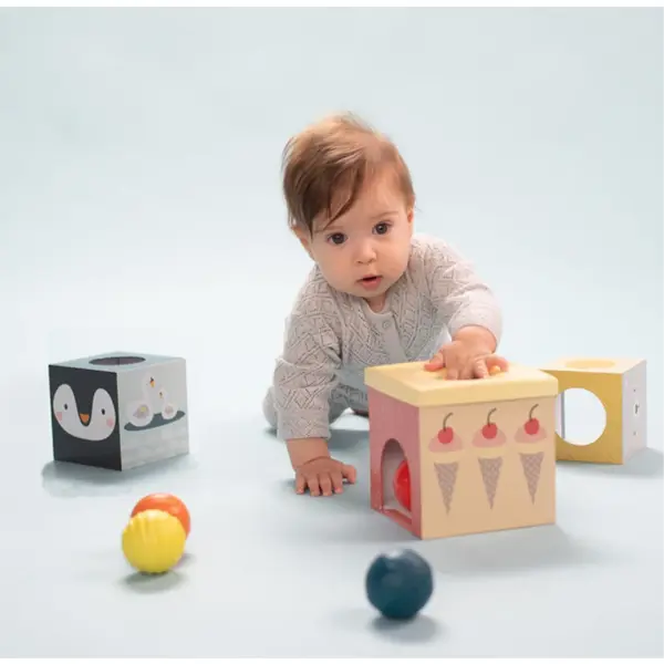 TAF TOYS EDUKATIVNE KOCKE I LOPTICE FOR.