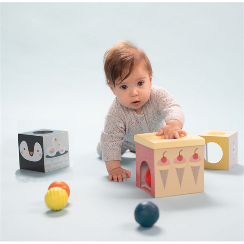 TAF TOYS EDUKATIVNE KOCKE I LOPTICE FOR.