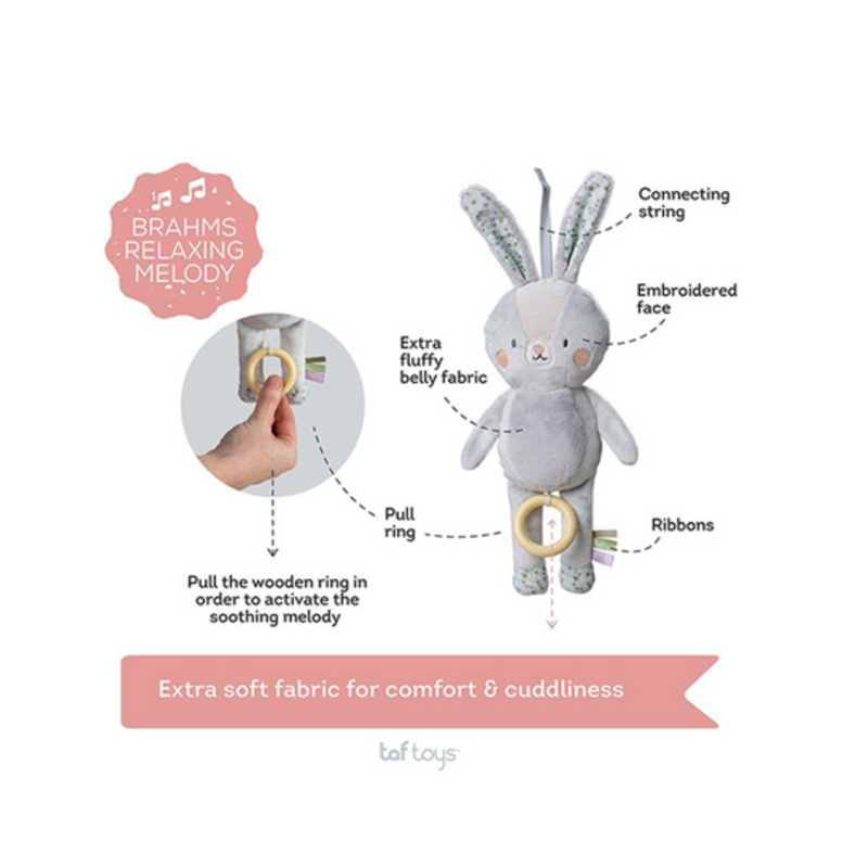 TAF TOYS RYLEE GLAZBENI ZEC FOR.