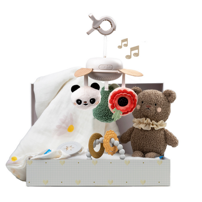 TAF TOYS POKLON SET NA NOVOROĐENČE FOR.
