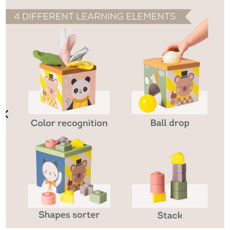 TAF TOYS KOCKA SORTER OBLIKA FOR.