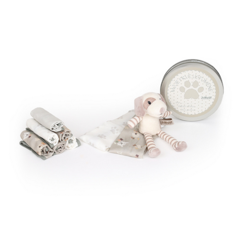BEBI SET/PRVI OTISAK SIVI PAS FOR.