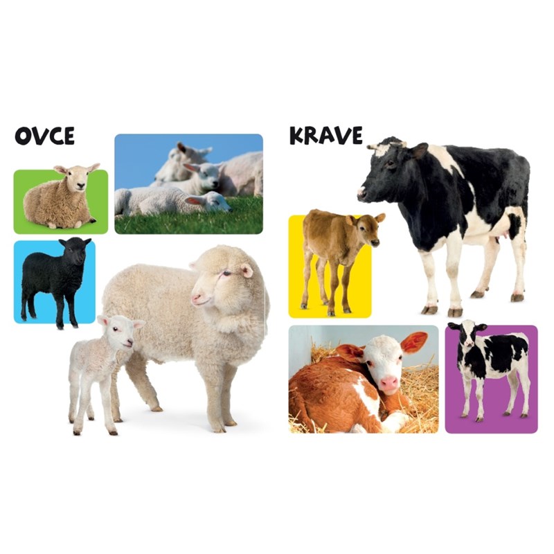 MOJA MALA FARMA 7349-2 AN.